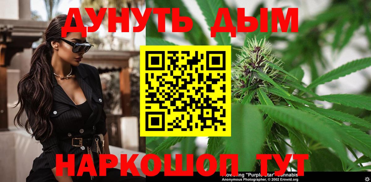 Бошки Шишки планчик Сунжа
